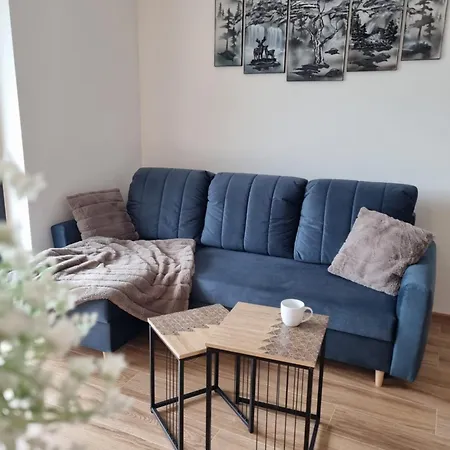 Szczyrkowska Ostoja Apartment *