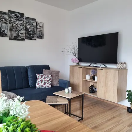 Szczyrkowska Ostoja 아파트 *