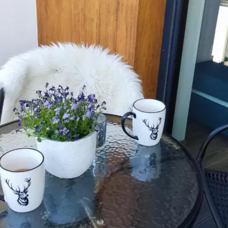 Szczyrkowska Ostoja 아파트 *