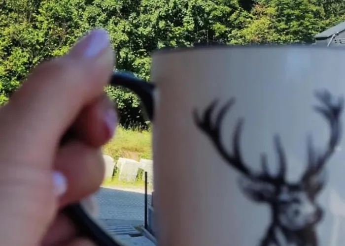 דירה Szczyrkowska Ostoja